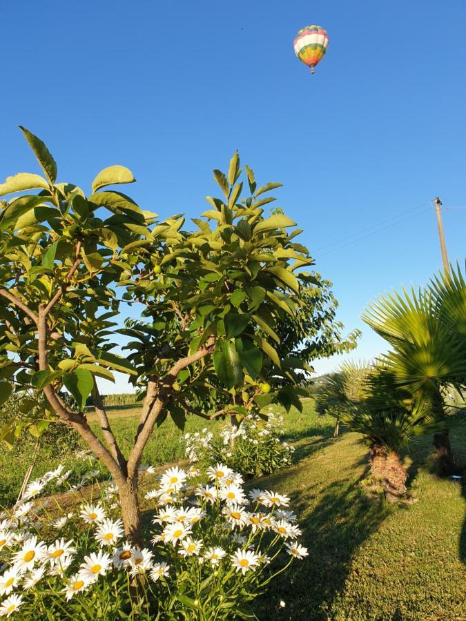 La Dolce Vita Castelfidardo Zewnętrze zdjęcie