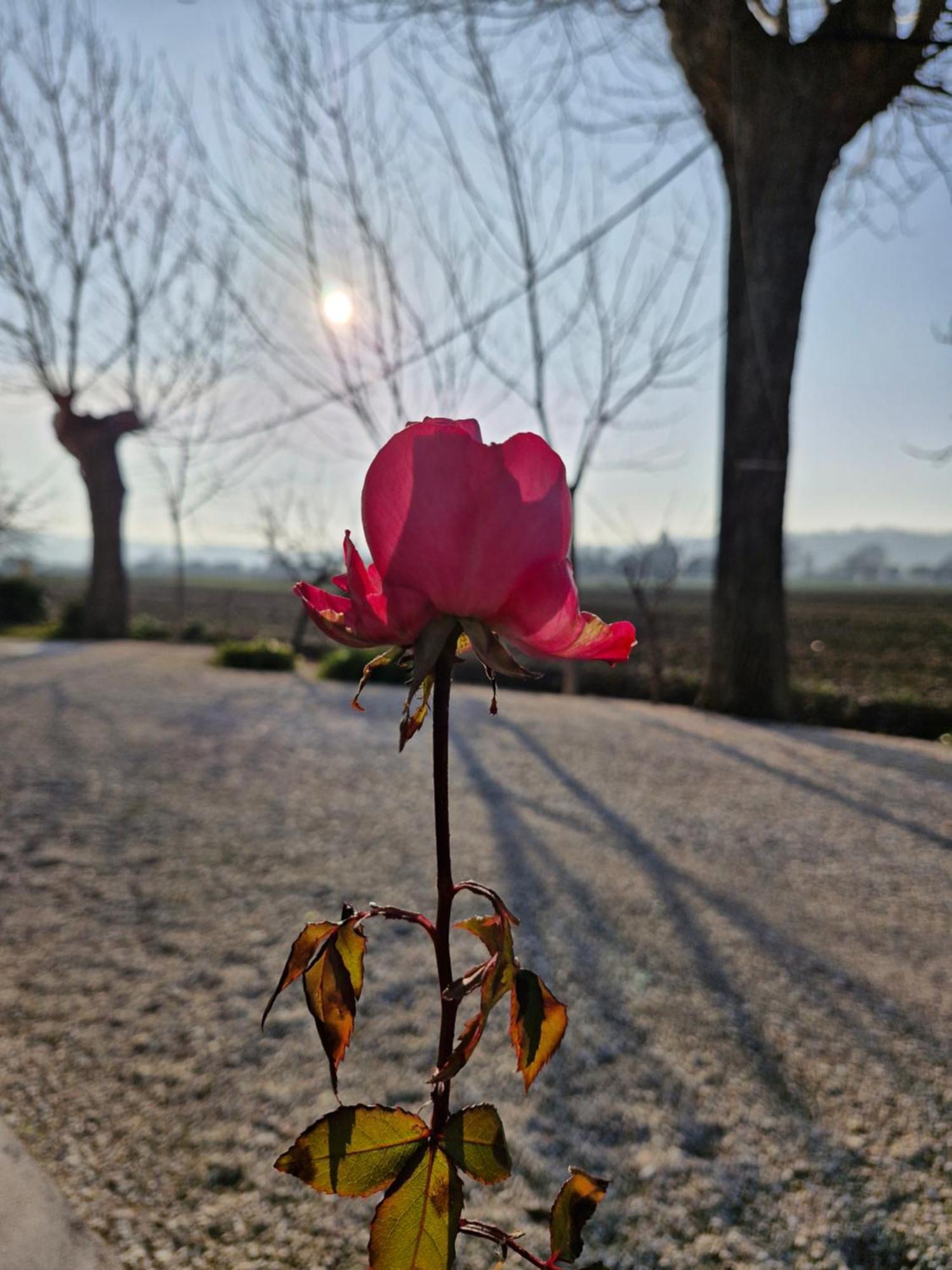 La Dolce Vita Castelfidardo Zewnętrze zdjęcie